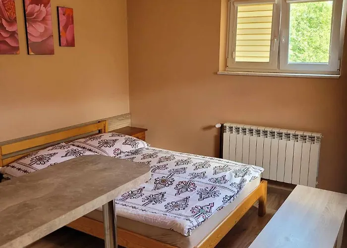 Jelonek זאבוייה